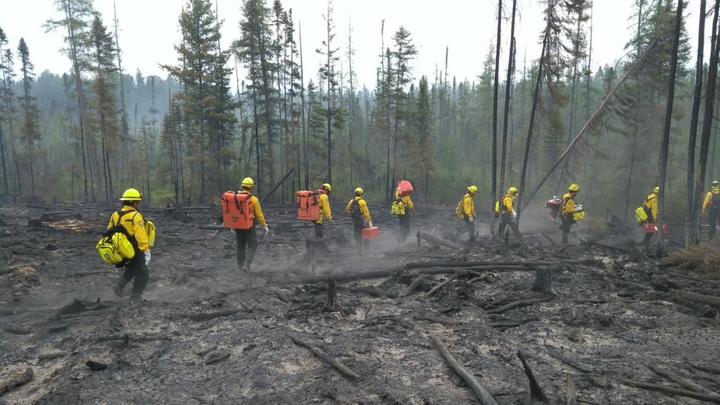 Duranguenses viajan a Canadá a combatir incendio forestal