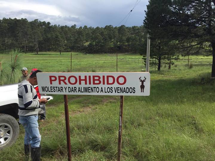 Restauran y reforestan el parque nacional El Tecuán