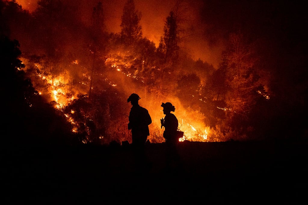 Mexicanos crean red de sensores para alertar de incendios forestales