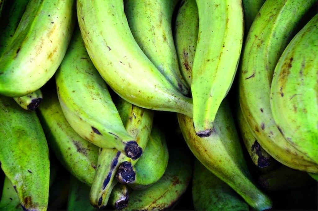 Mexicanos utilizan plátano verde contra enfermedades
