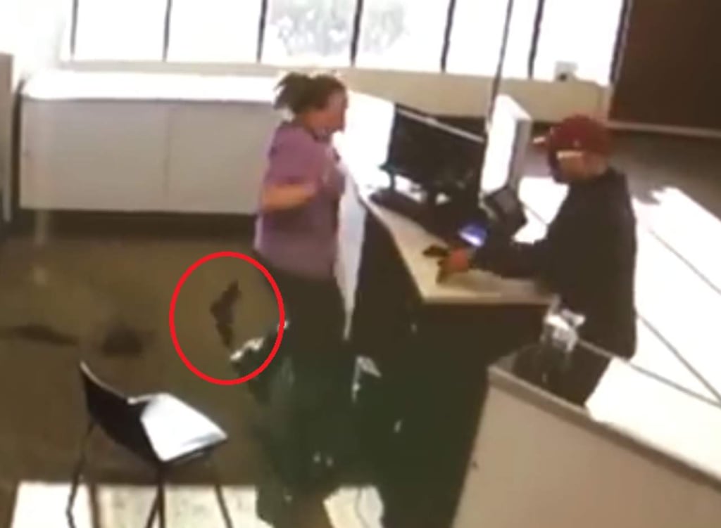 ¿Es este el ‘ladrón más tonto del mundo’?