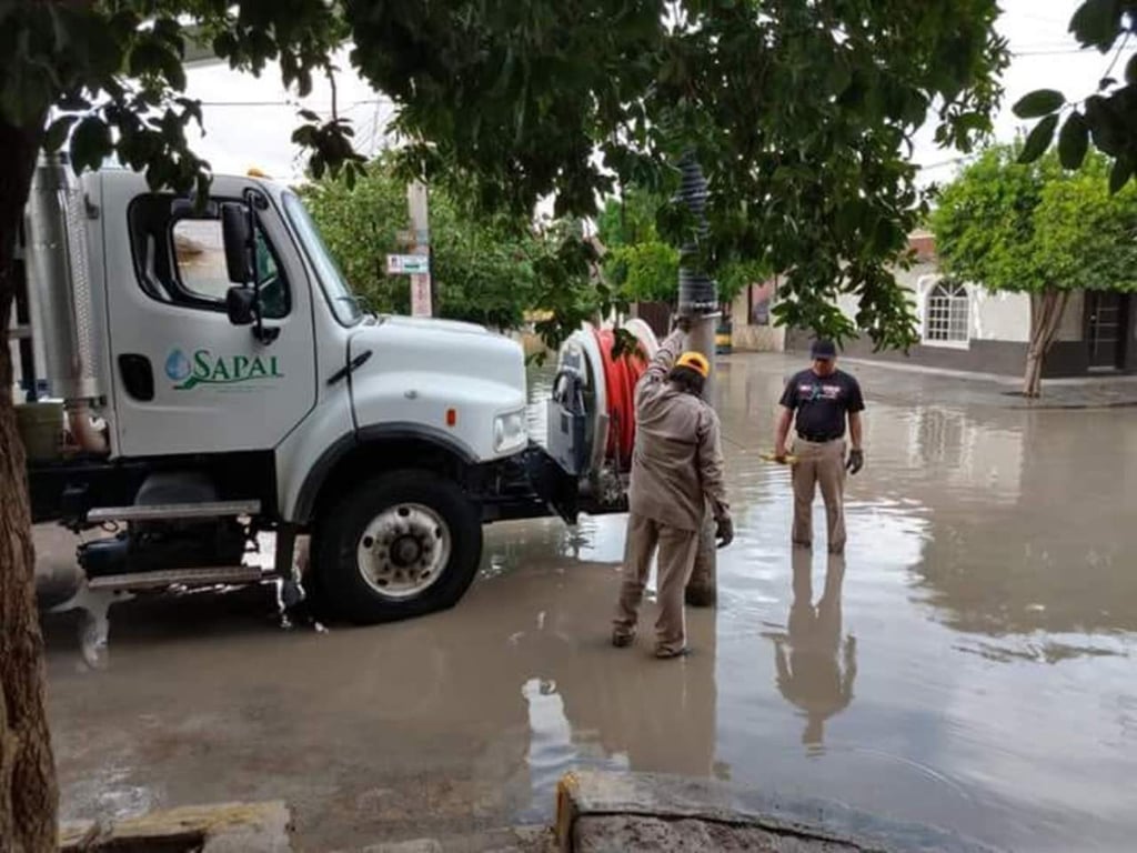 Sapal realiza labores de limpieza en drenajes