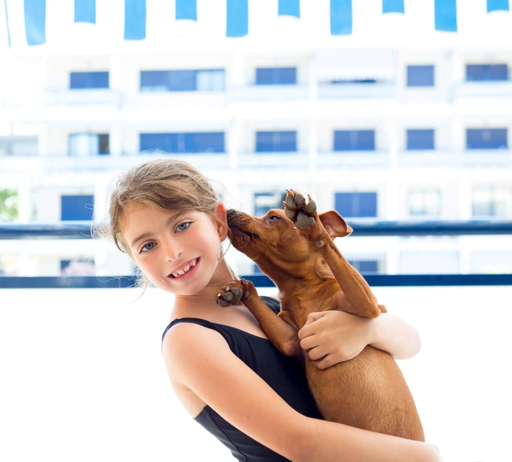 ¿Por qué mi perro me lame las orejas?