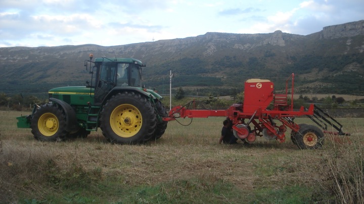 Dará Ayuntamiento subsidio en avena para productores