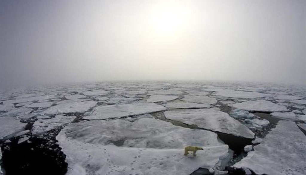 Reportan disminución acelerada de hielo en el Ártico