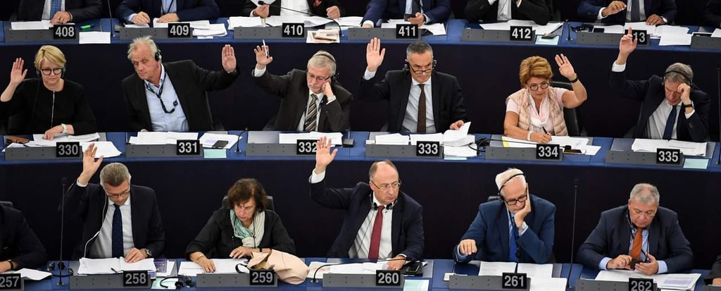 Piden eurodiputados reformas a AMLO contra corrupción e impunidad
