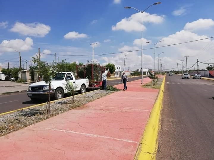 Limpian calles después de la lluvia