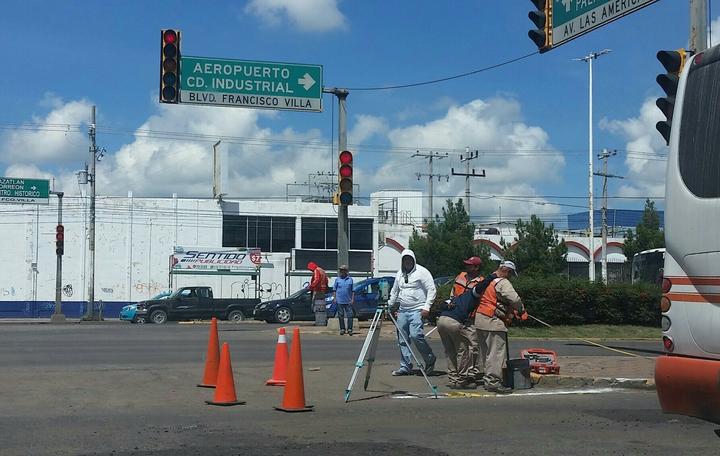 Son 476 árboles los que prevén retirar de bulevar