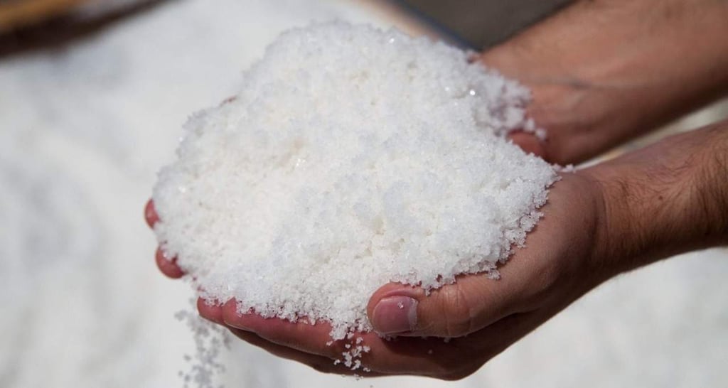 Mayas usaban la sal como moneda de intercambio, concluye estudio