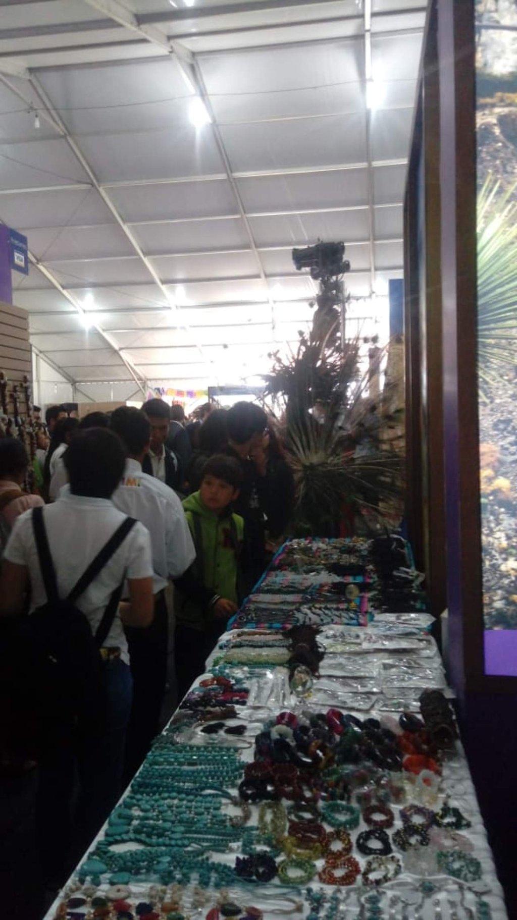 Participa Mapimí en Feria de Pueblos Mágicos 2018