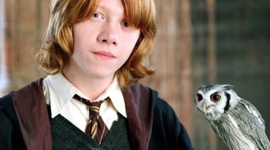 Rupert Grint confiesa por qué quiso renunciar a Harry Potter