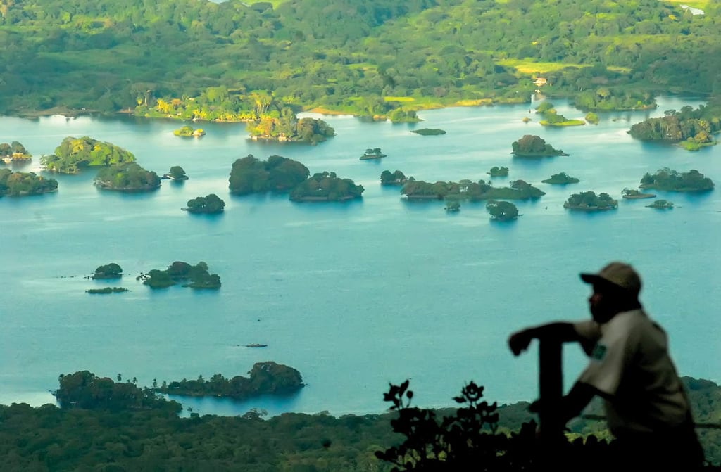 1972: Primer Día Mundial de la Protección de la Naturaleza