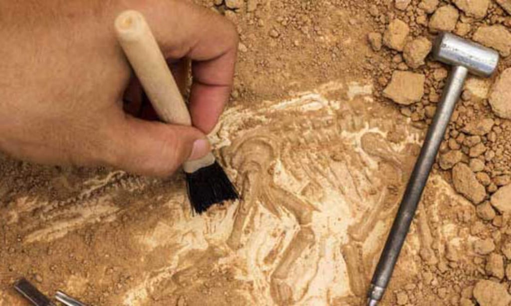 Cuestionan origen biológico de los restos de vida más antiguos
