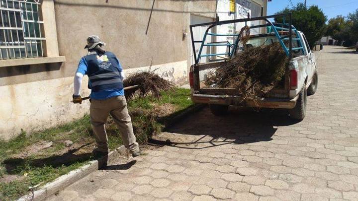 Laudos absorben el gasto corriente