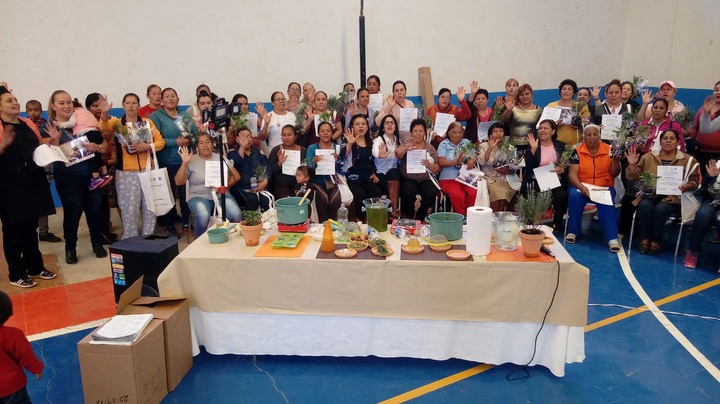 Fomentan el uso de plantas medicinales