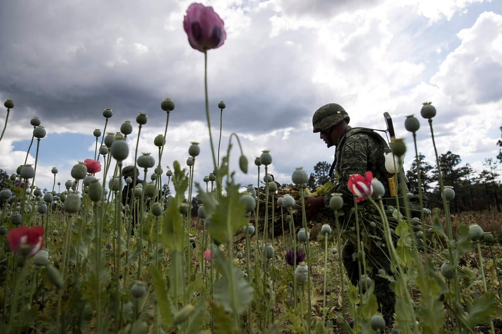 Cártel mexicano mantiene expansión: DEA