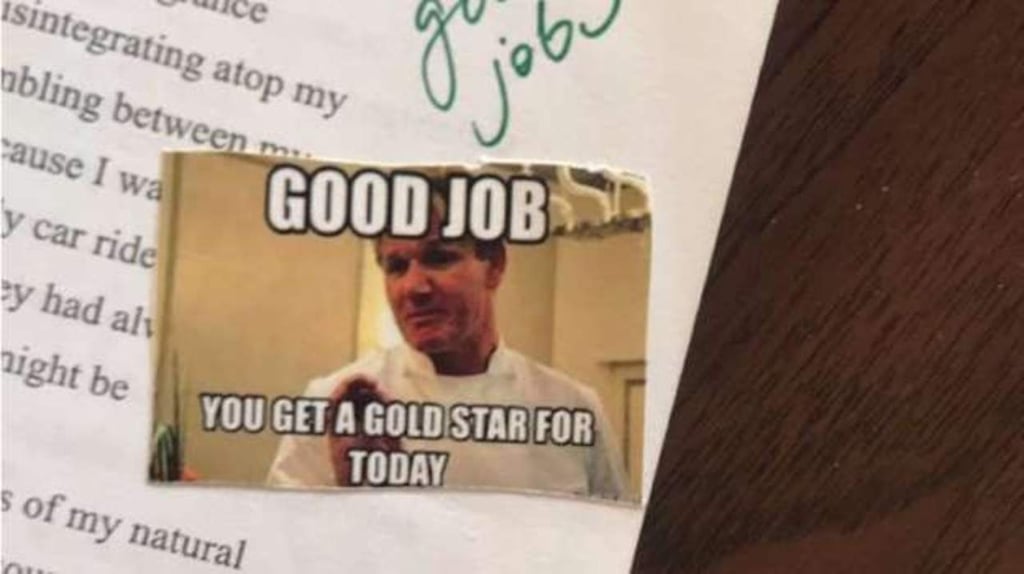 VIRAL: Maestra califica a sus alumnos con memes