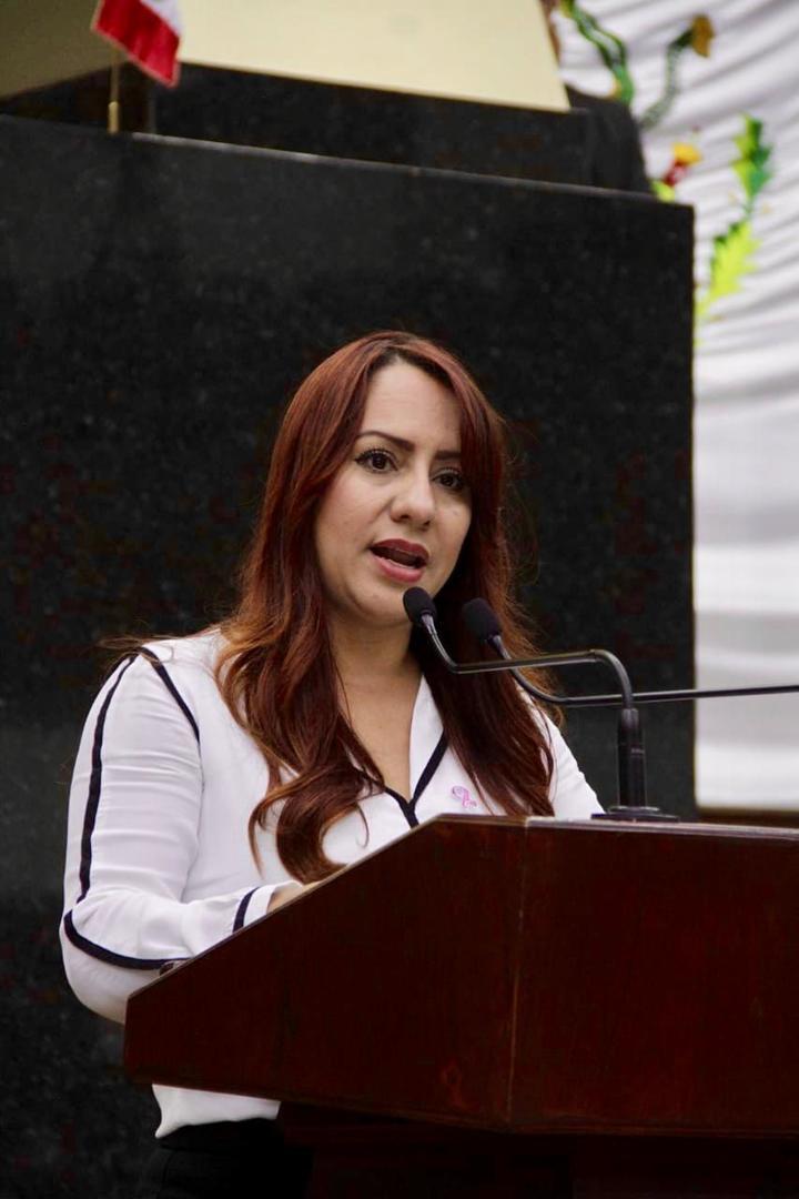 Congreso será respetuoso del  proceso electoral: Sandra Amaya