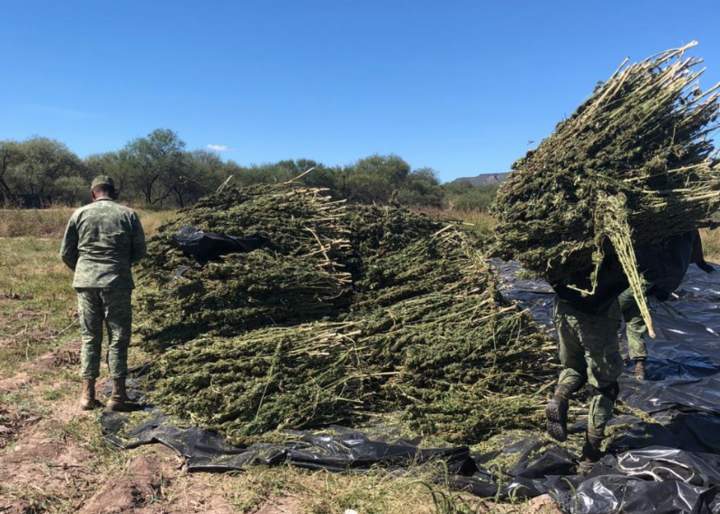 Aseguran 13 toneladas de droga en El Oro