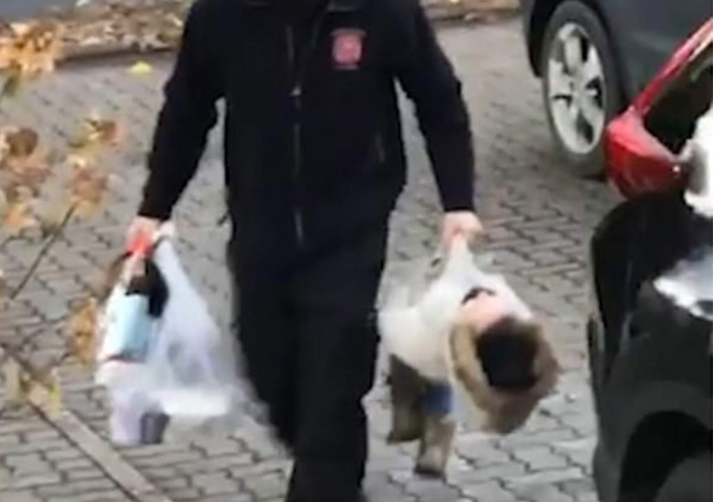 Reacción de padre ante berrinche de hija se hace viral