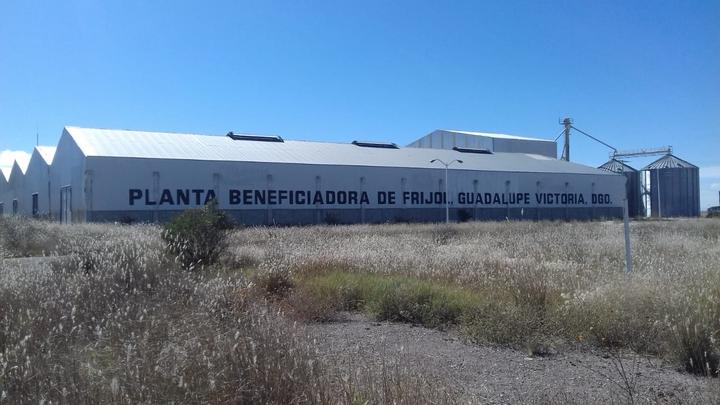 Exhortan a mejorar la Beneficiadora de Frijol