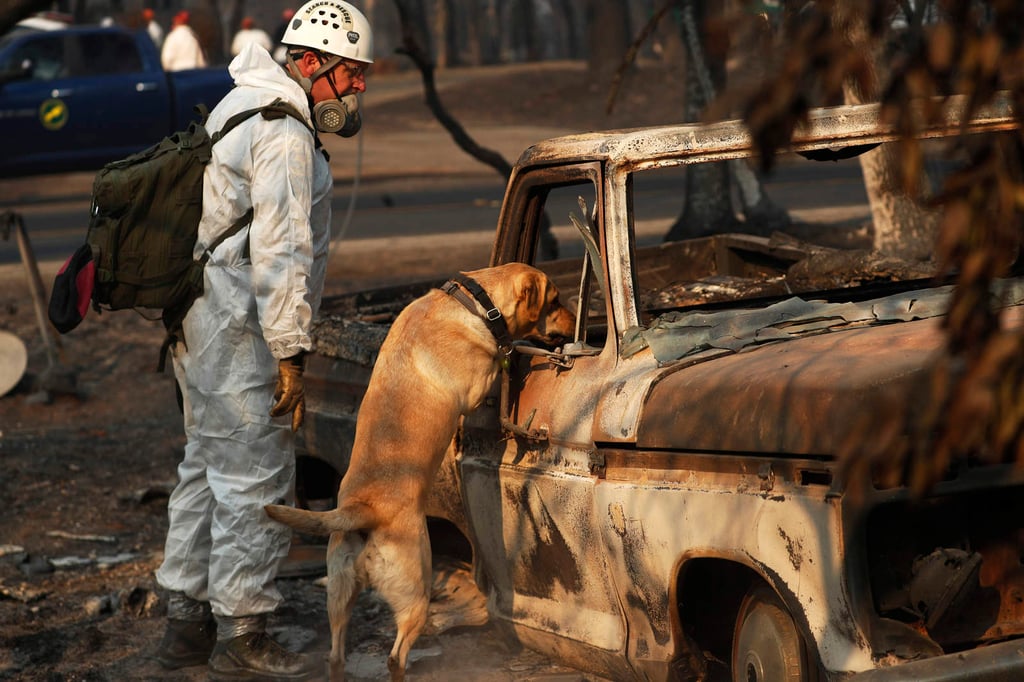 Suman 76 muertos por incendios en California