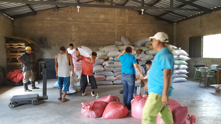 Tregua de 3 días para el frijol