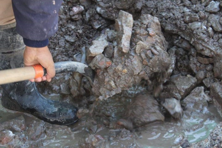 Reparan fugas de agua potable