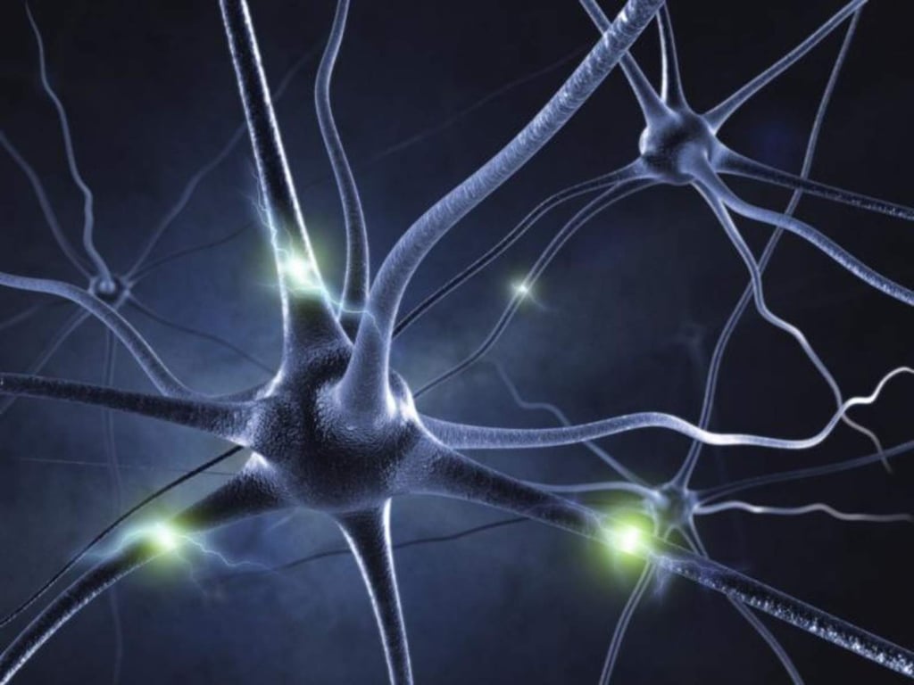 Conexiones entre neuronas son más complejas de lo que se creía