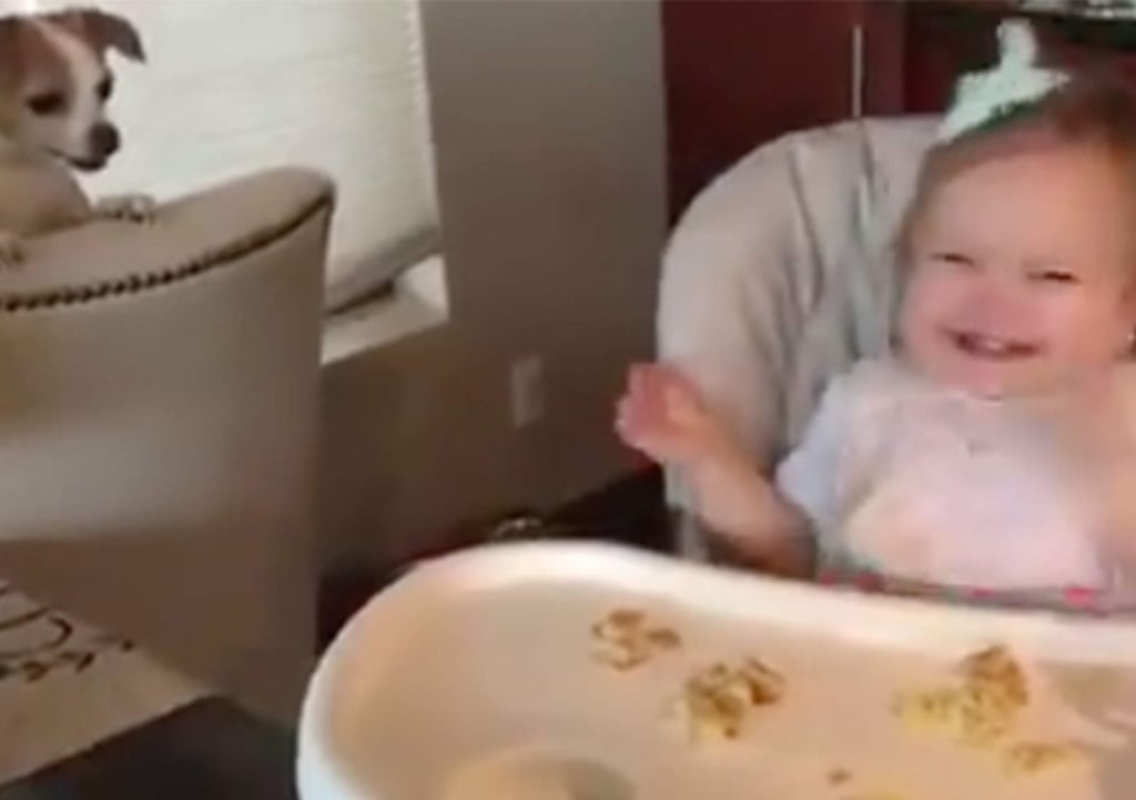 El video que le levantará el ánimo a cualquiera