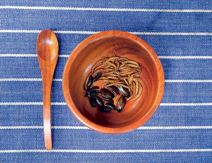 Comer cucarachas es saludable según los chinos