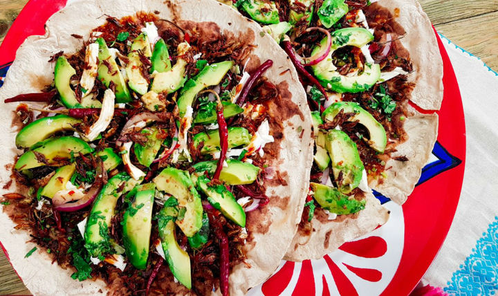 Chapulín de milpa, nutritivo