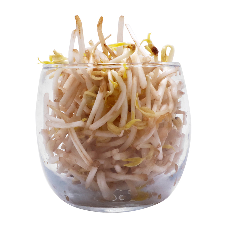 Bondades del germen de trigo