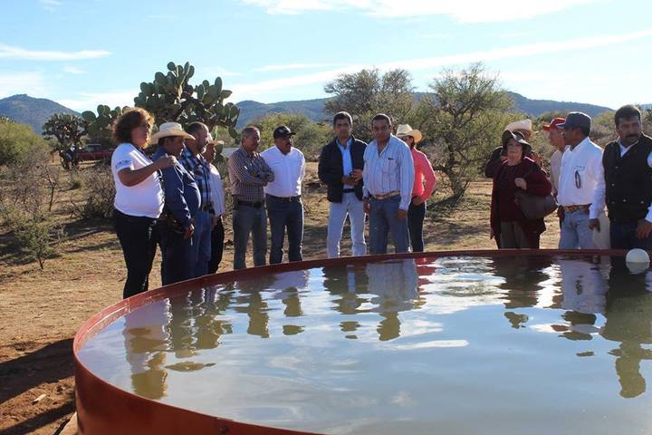 Ganaderos podrán almacenar agua