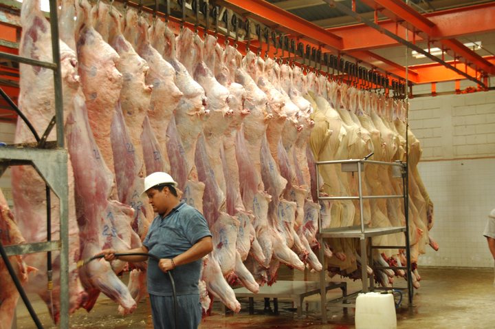 676 mdp deja el sacrificio de ganado