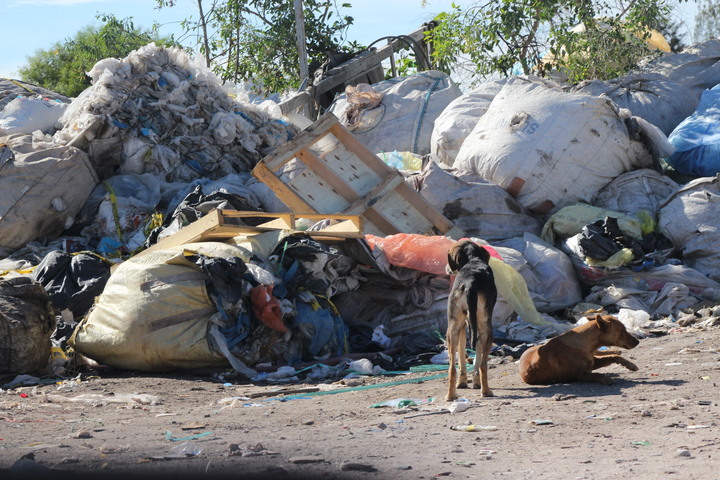 Fuera, proyecto del relleno
