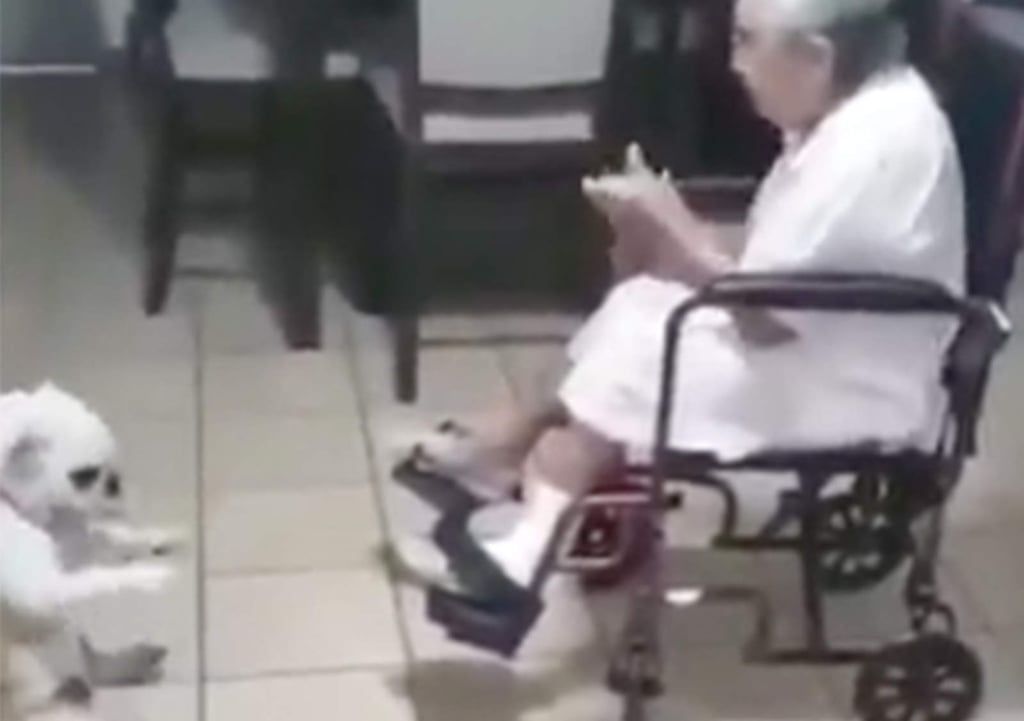 Mujer mayor baila con su mascota y enamora en redes