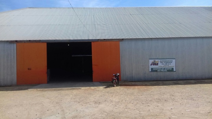 Urgen a informar sobre acopiadoras de frijol