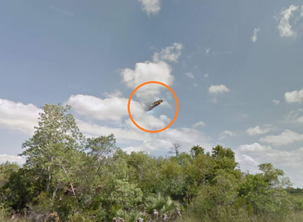¿Qué es ese supuesto ovni captado por Google Maps?