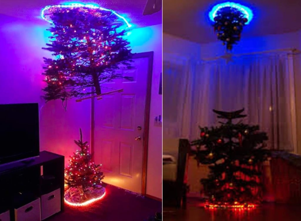 Árboles navideños que se ‘transportan en portales’