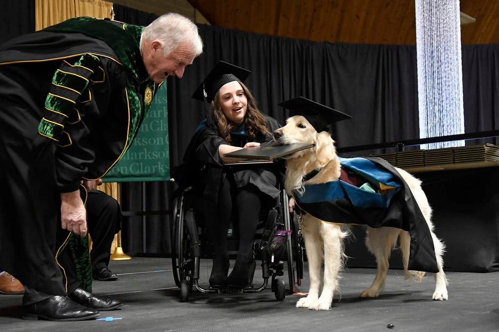 'Gradúan' a perro auxiliar de estudiante en silla de ruedas