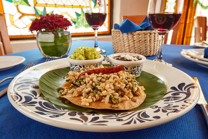 Escamoles aportan más proteínas que la carne