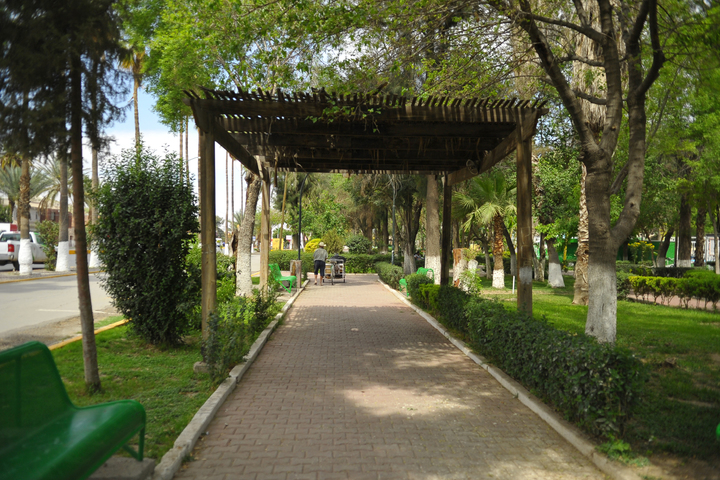 Ofrecen talleres de radio y televisión a niños y jóvenes