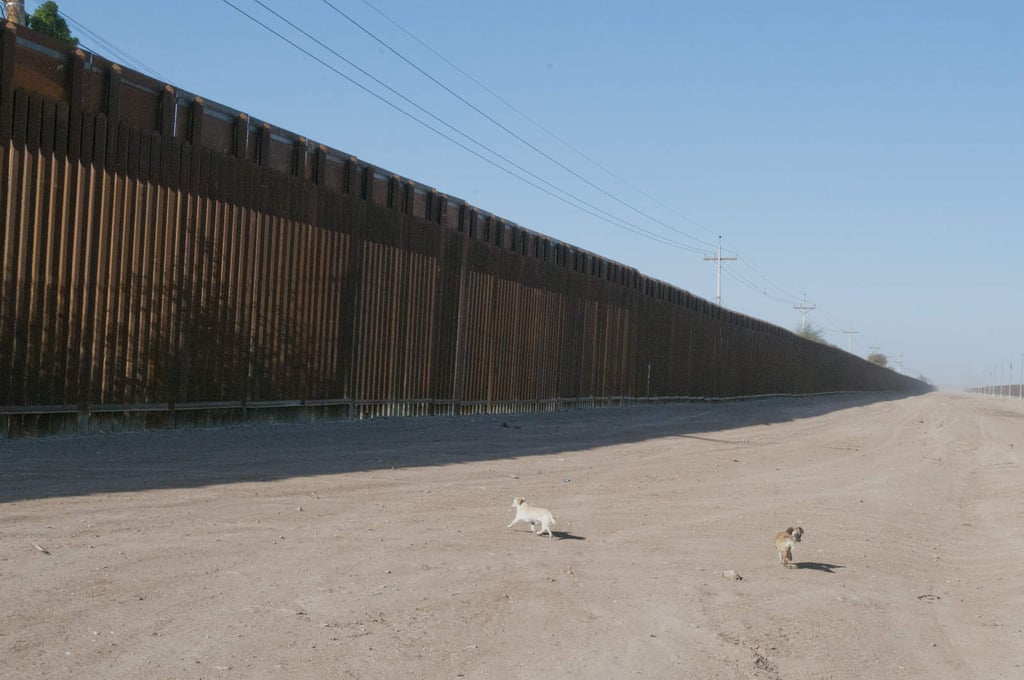 EU otorga contrato para erigir tramos de muro en California