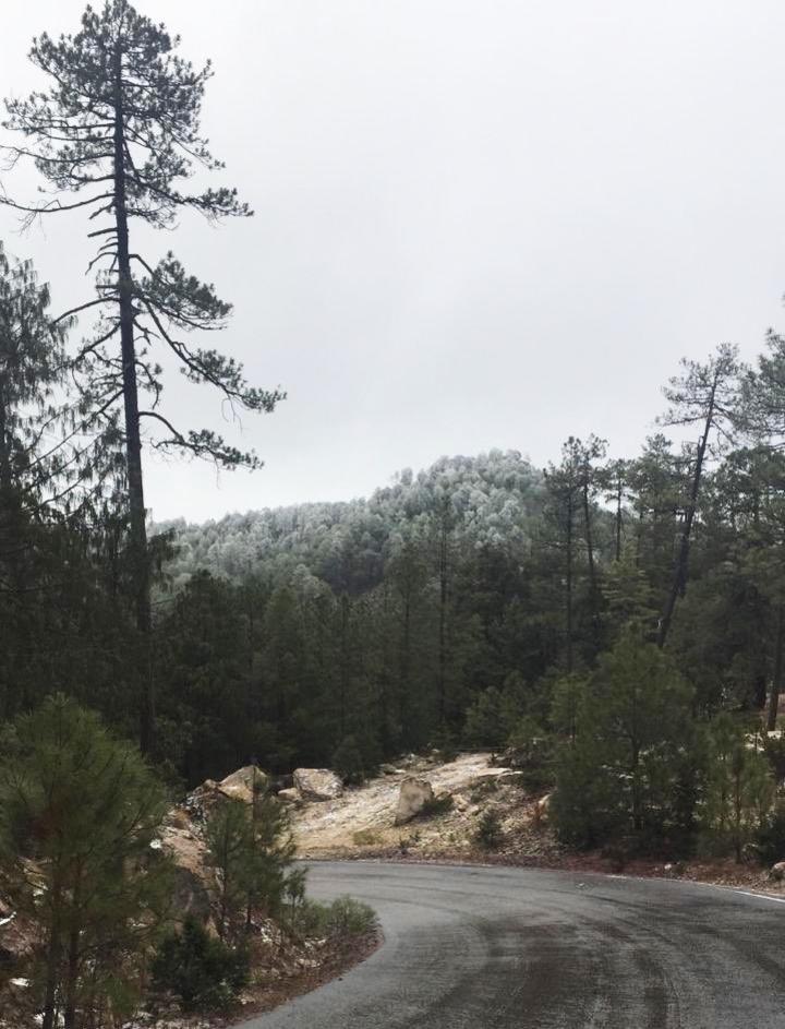 Tormenta invernal deja nieve y daños en Durango