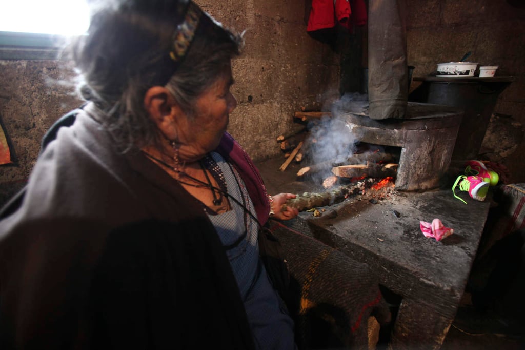 Uso de leña predispone a la EPOC