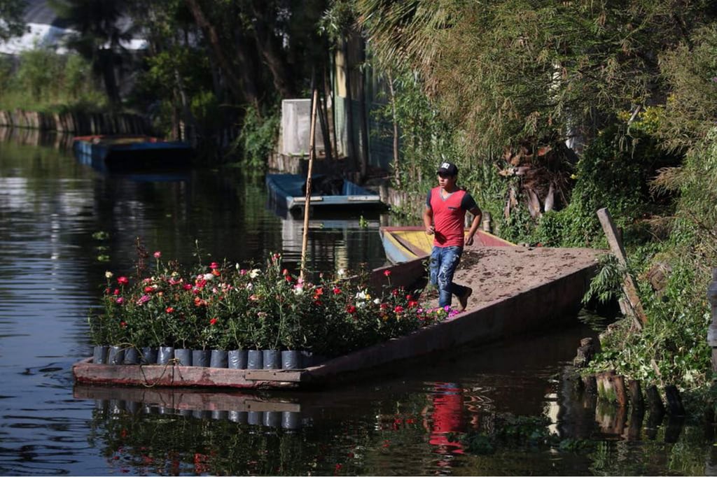 Chinampas, tecnología agrícola prehispánica que prevalece