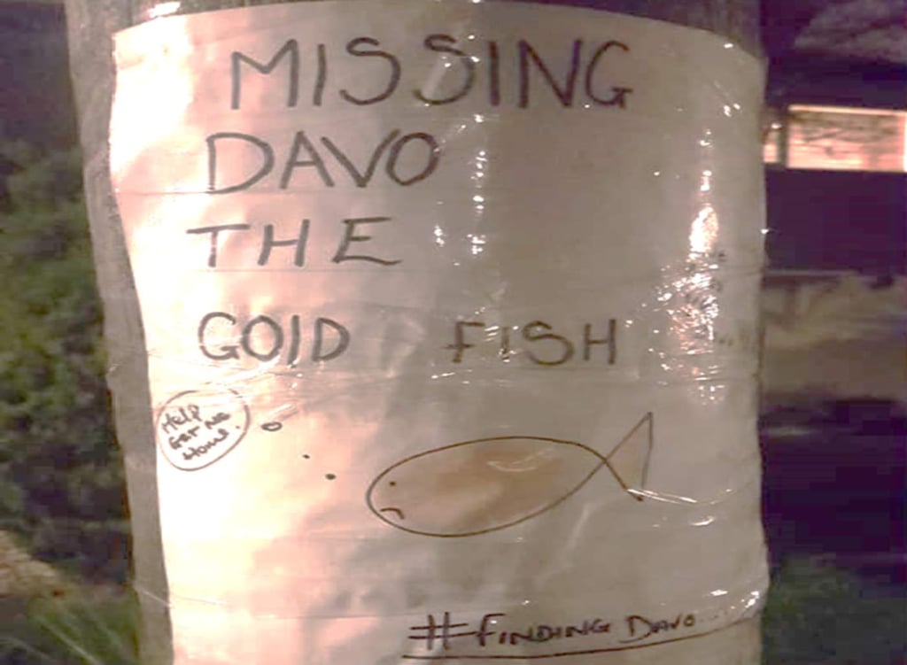 Mujer busca a su pez perdido con un cartel hecho a mano