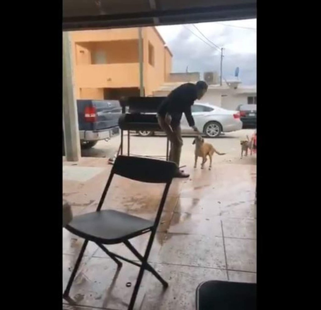 Denuncian en redes sociales a joven que mató a un perro en Piedras Negras