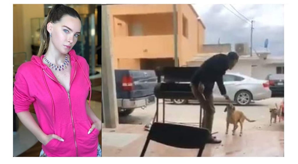 Belinda pide cárcel para joven que mató a un perro en Piedras Negras